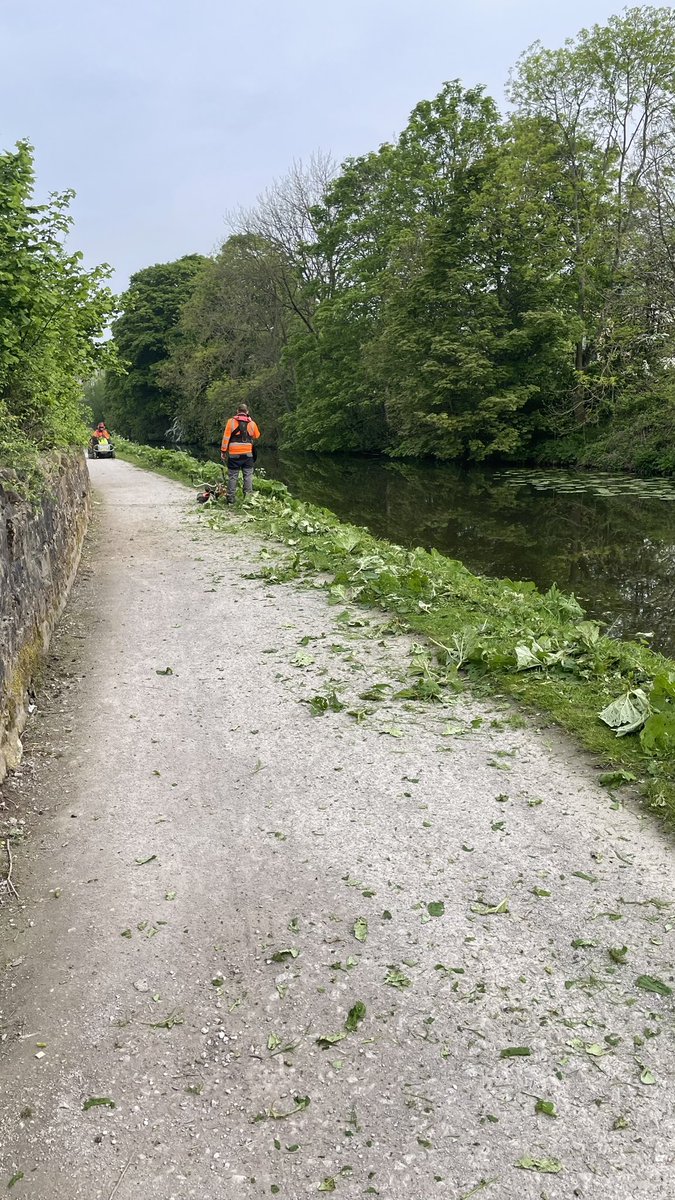 ChrisD_Bingley's tweet photo. HEY @CanalRiverTrust why are cutting down every living thing at the side of the canal at bingley? what about #NoMowMay @IoloWilliams2 @ChrisGPackham https://t.co/zpTTrGmjkR