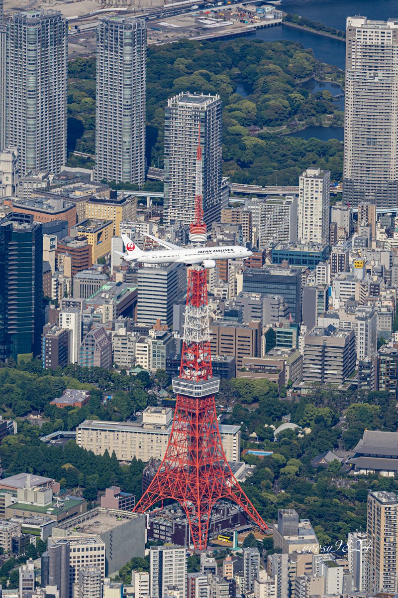 東京タワーと787撮れたぁああああああ！！！