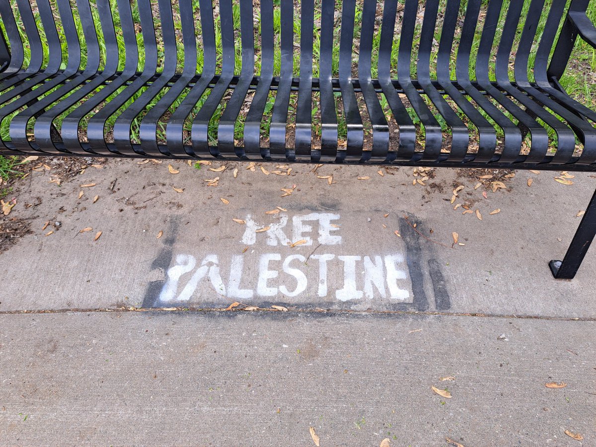 womenbaseball1's tweet image. Keep it up. Be relentless.  #FreeP