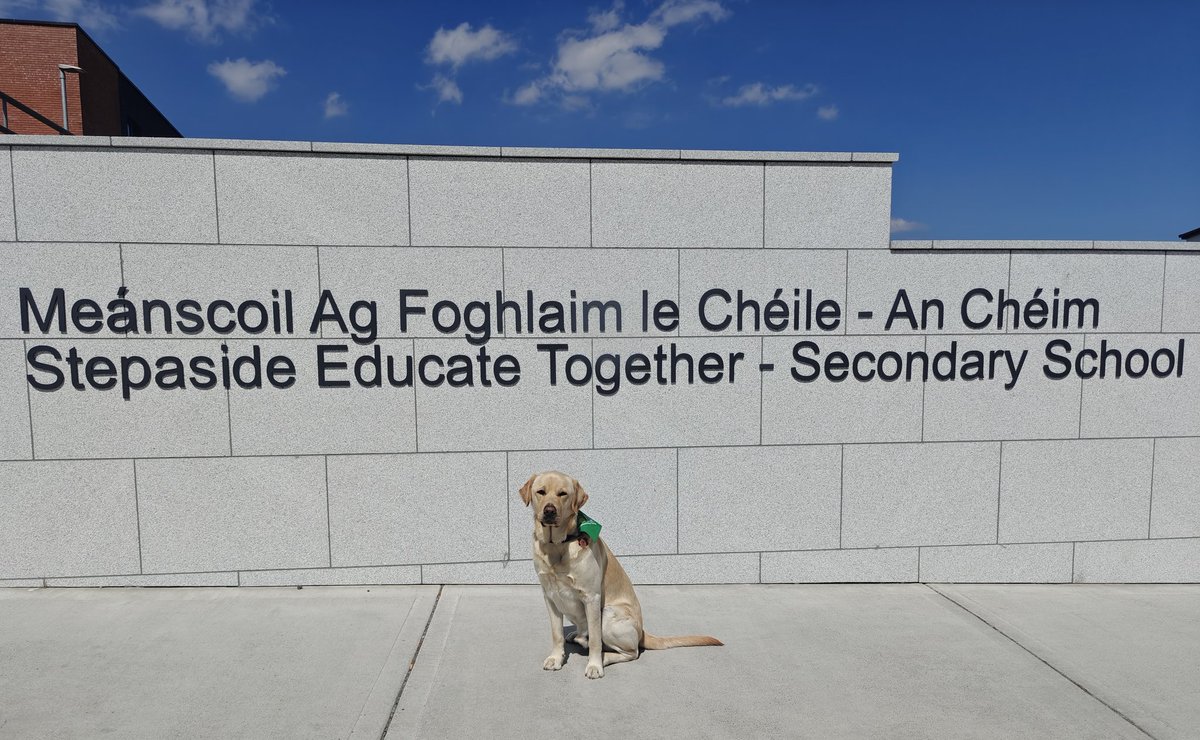 We recently got a new addition to the family. Say hello to Gulliver 🐾💛

Thank you so much to the @irishguidedogs for the continuous support, training & guidance, but most importantly  for giving us the gift of our best boy, Gully!

#AssistanceDog #IrishGuideDogs