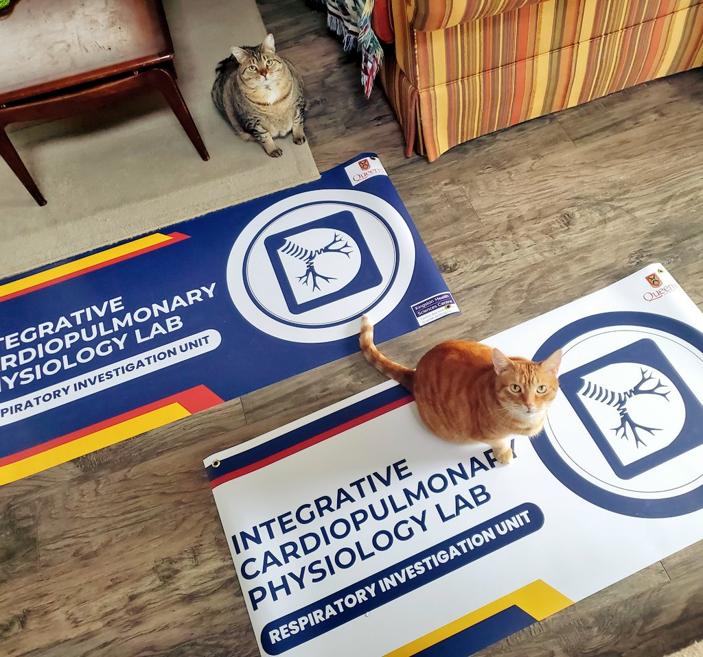 Nicolle Domnik (@nicolledomnik) on Twitter photo Feline quality control: achieved.
Now < 24h away from #ScienceRendezvous2024 !
Join us (& MANY more!) tomorrow from 10-3 at #SlushPuppiePlace for a free, family event... incl. 🫀& 🫁 fun c/o our team plus the <a href="/QueensRIU/">Respiratory Investigation Unit</a> & <a href="/QueensuCPU/">Queen's CardioPulmonary Unit (QCPU)</a>
<a href="/STEMygk/">Science Rendezvous Kingston</a> <a href="/QueensUHealth/">Queen's Health Sciences</a> <a href="/DbmsTweets/">QUbiomed</a> Feline quality control: achieved.
Now < 24h away from #ScienceRendezvous2024 !
Join us (& MANY more!) tomorrow from 10-3 at #SlushPuppiePlace for a free, family event... incl. 🫀& 🫁 fun c/o our team plus the <a href="/QueensRIU/">Respiratory Investigation Unit</a> & <a href="/QueensuCPU/">Queen's CardioPulmonary Unit (QCPU)</a>
<a href="/STEMygk/">Science Rendezvous Kingston</a> <a href="/QueensUHealth/">Queen's Health Sciences</a> <a href="/DbmsTweets/">QUbiomed</a>