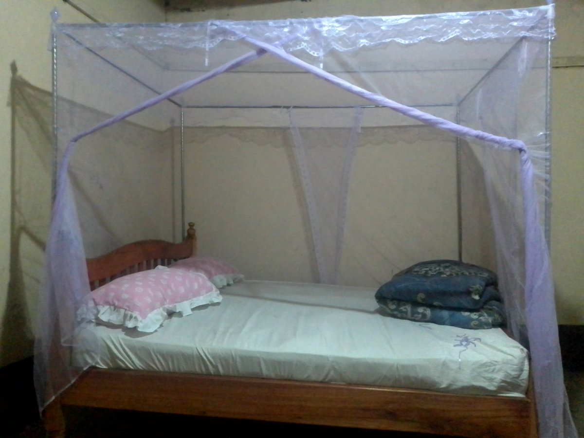 afcprince7's tweet image. Nadai mtu akuje tupande hii miti 😌😉
#miti #TreePlantingDay