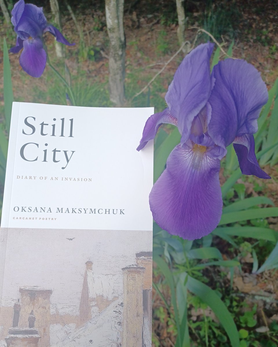 Добра ніч, dear friends. @ok_maksymchuk's STILL CITY: DIARY OF AN INVASION is available from Carcanet Press (UK): carcanet.co.uk/cgi-bin/indexe…. In the US, it will be available from @PittPoetry. #StandwithUkraine & read more #Ukrainian #literature!