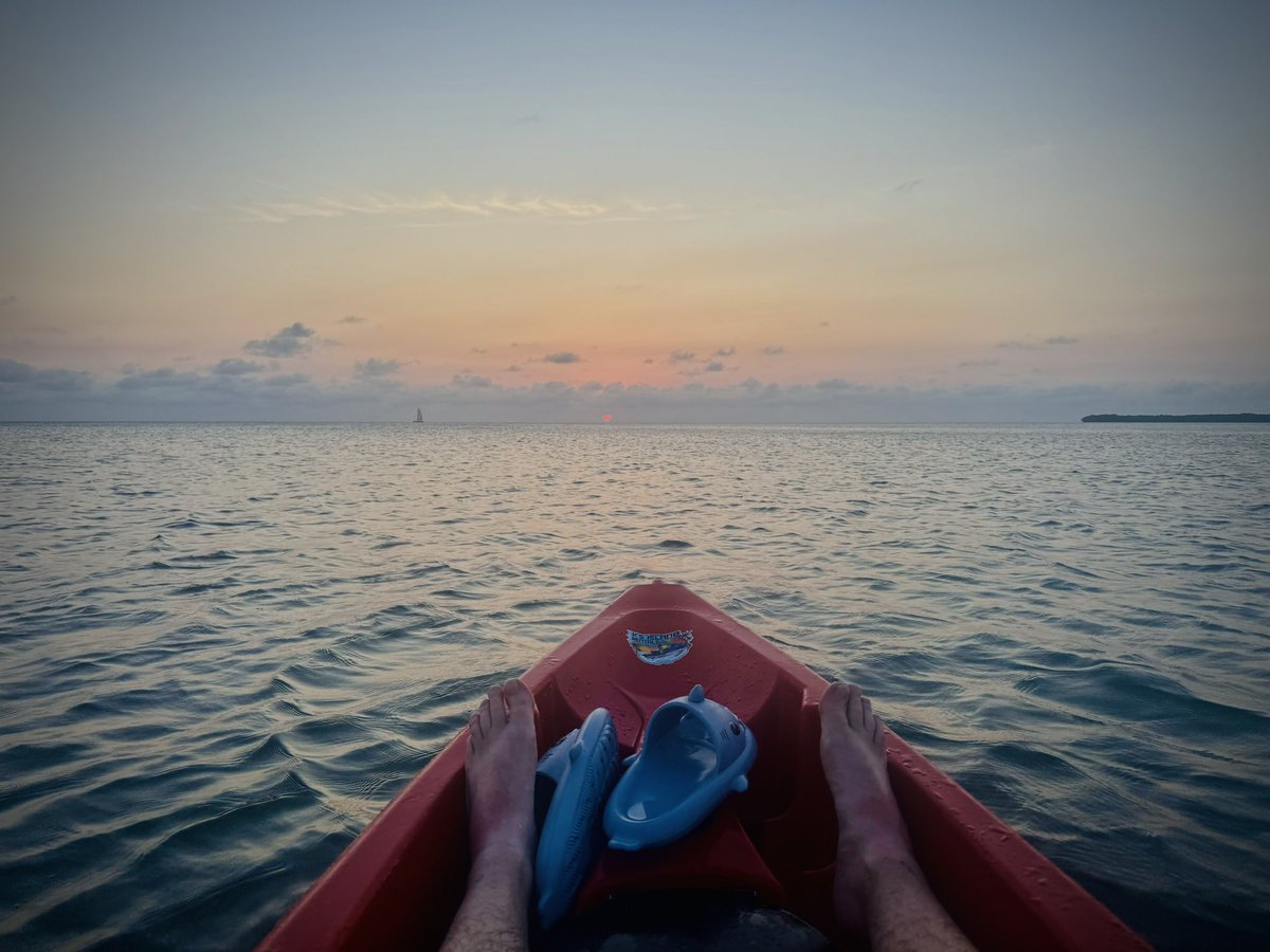 birb_check's tweet image. How has your life been going these days?  

It’s been an unexpected 2-3 years for me.  Friend/family deaths, major house fire, putting family into memory care (and visiting), burning out and moving on from a job/purpose that I was great at and gave me great joy for years.…