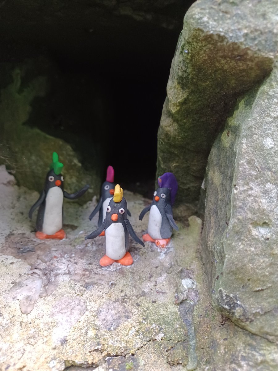 IsabellaThinker's tweet photo. Just some of the @GlasgowPenguins enjoying the sunshine at the River Kelvin today. https://t.co/V4TE8mbe45