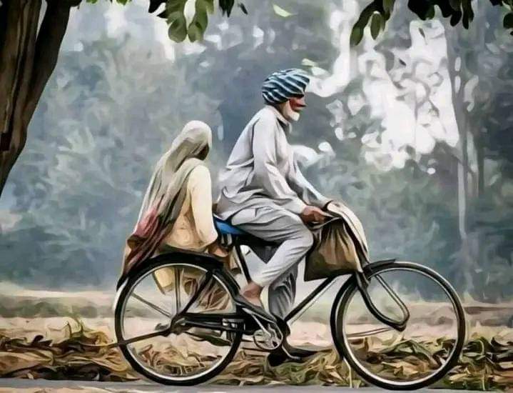 Bisma Hameed tweet media