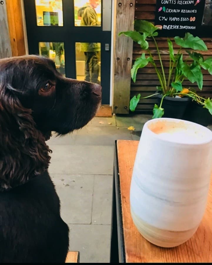 What is happening here? Is this pooch's favourite drink a coffee? Nah, they are just waiting patiently for a doggie treat whilst their human grabs a caffeine fix. We love seeing all of you come though our doors. Are you coming for a visit this weekend? #Cardiff #Cardiffcafe