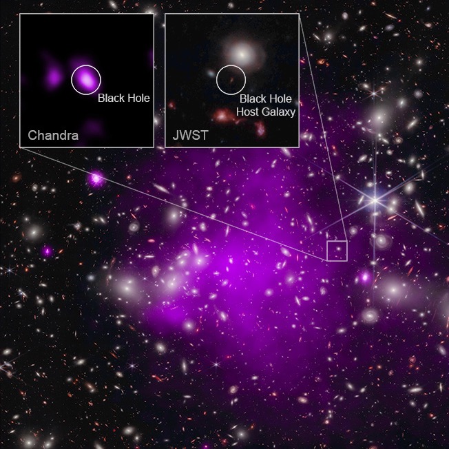 As #BlackHoleWeek closes, here's the most distant supermassive black hole ever detected in X-rays. Webb revealed the black hole's host galaxy existed 470 million years after the big bang, while @chandraxray confirmed the existence of the black hole: go.nasa.gov/4bzilwe
