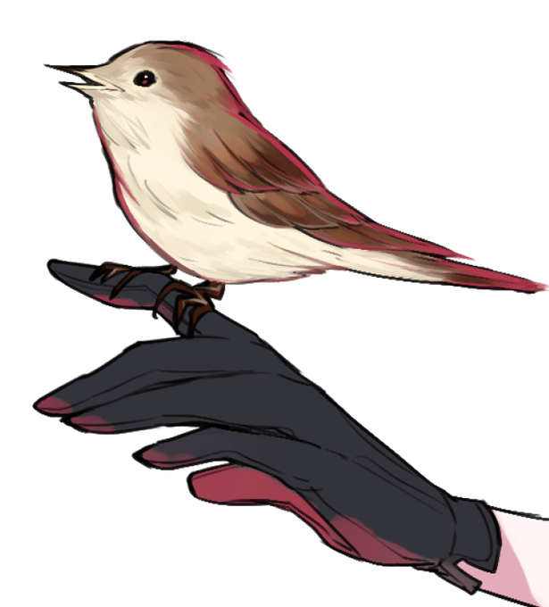 「bird gloves」 illustration images(Latest)