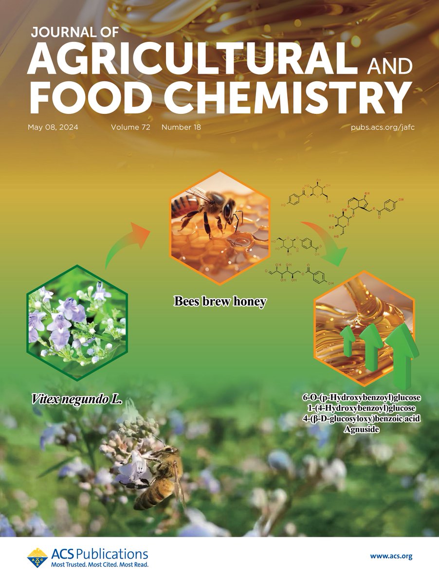 The chemical markers of chaste #honey have been identified by comparative #metabolomics, finding that the activities of honeybees play a pivotal role in their formation and accumulation. Find out more in this #JAFC cover article go.acs.org/9i8
