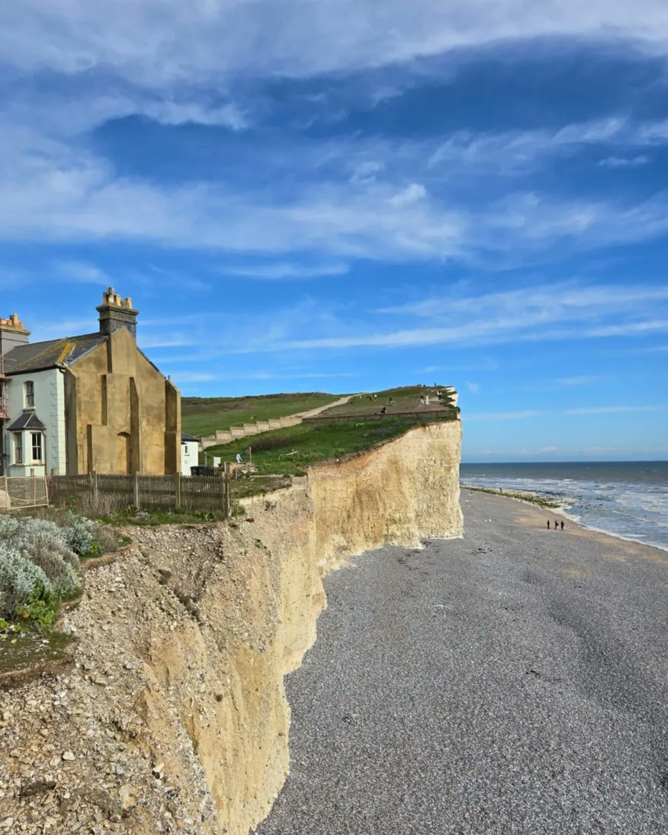 Shanna May tweet media