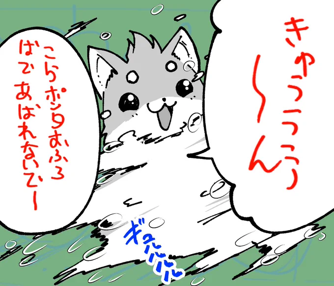 泡ハリケーン再び🫧🦊🫧
#骸骨騎士様 
#コミックガルド 