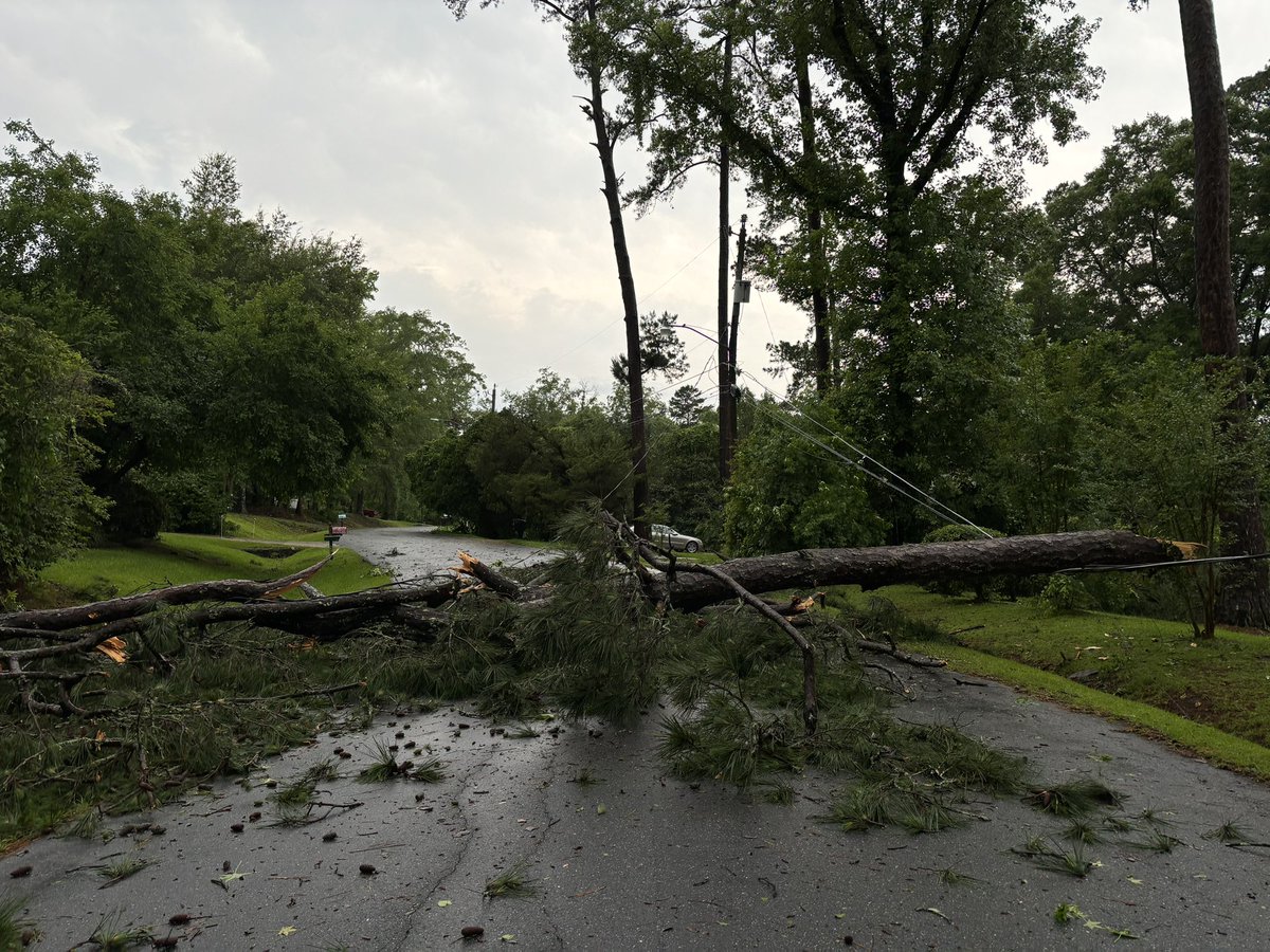 Damage from this morning’s tornado in Tallahassee, Fl