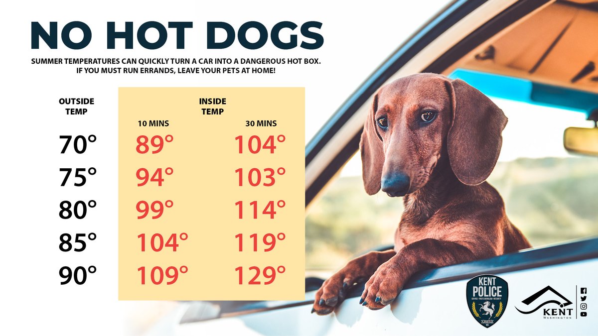 🐶 Please don't leave pets or children in cars where there's hot weather! Even on mild or cloudy days, temperatures inside vehicles can reach life-threatening levels. Leaving windows slightly open doesn't help. 'Just a minute' is dangerous. #nohotdogs