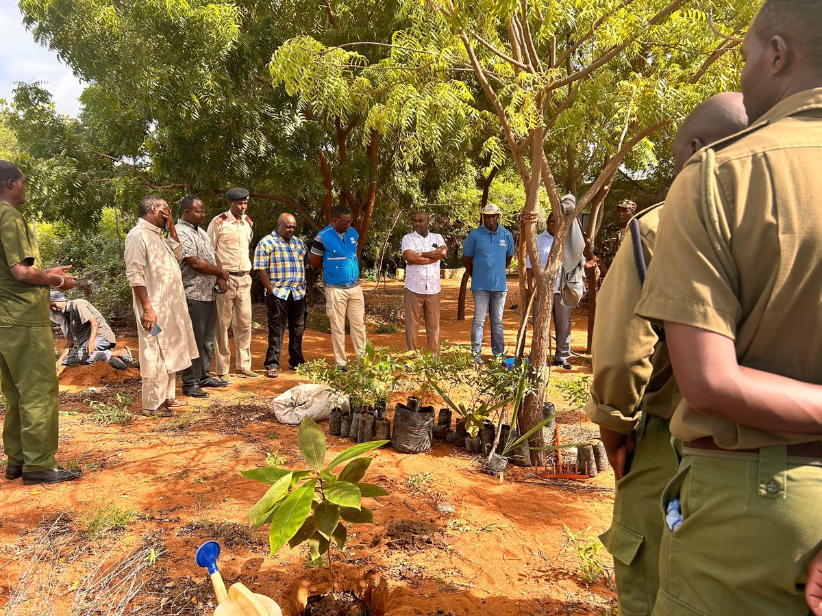 wejalu's tweet image. #TreePlantingDay 2day I joined Dadaab sub county officials and refugee youth leaders 2 plant trees in honor of those lost to the floods, and at the same time regenerating land, promoting a clean and health environment.