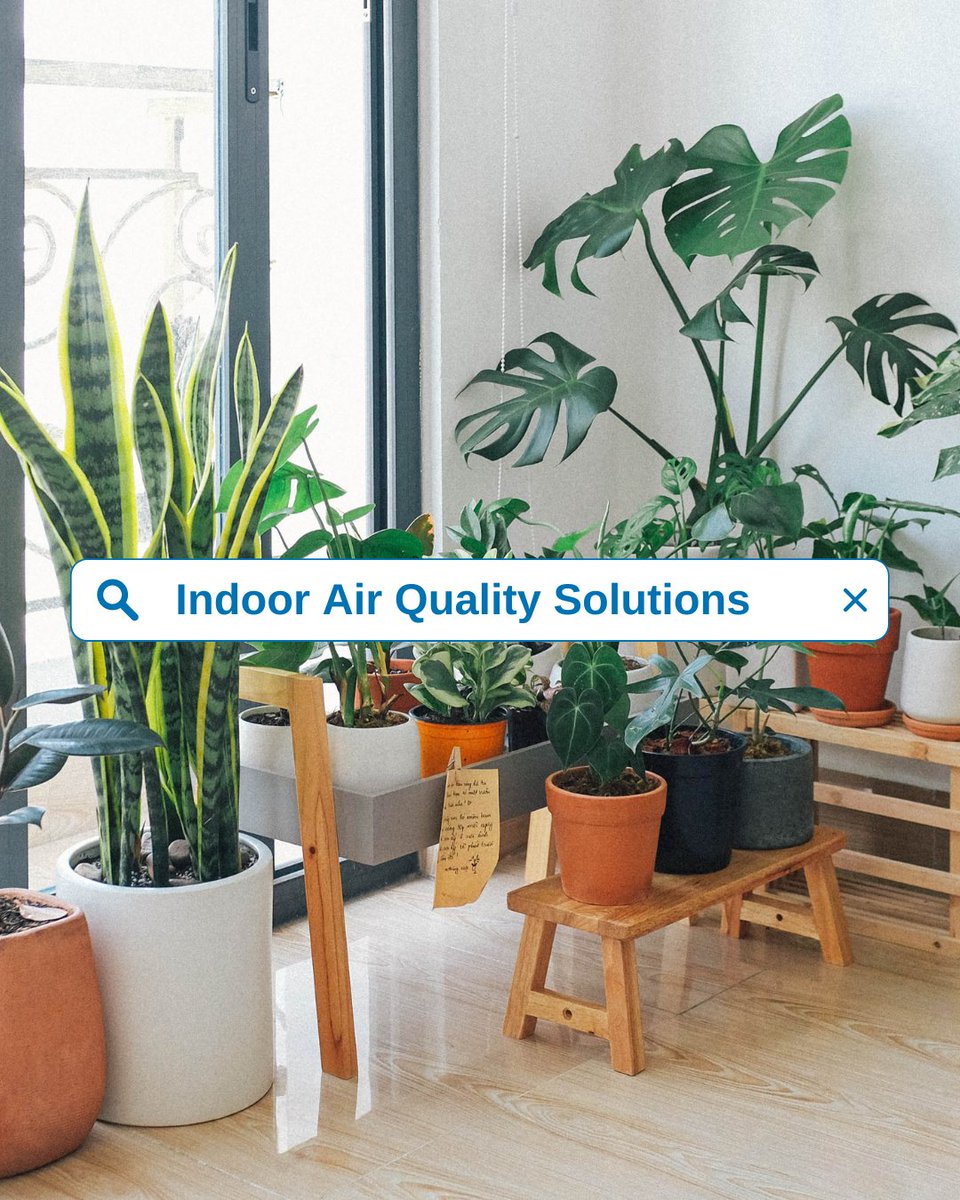 Suffering from allergies or asthma? Breathe easier in your bedroom with our indoor air quality solutions! From proper ventilation to reducing allergens, you'll ultimately have a healthier sleep environment.

#IndoorAirQuality #HealthyLiving