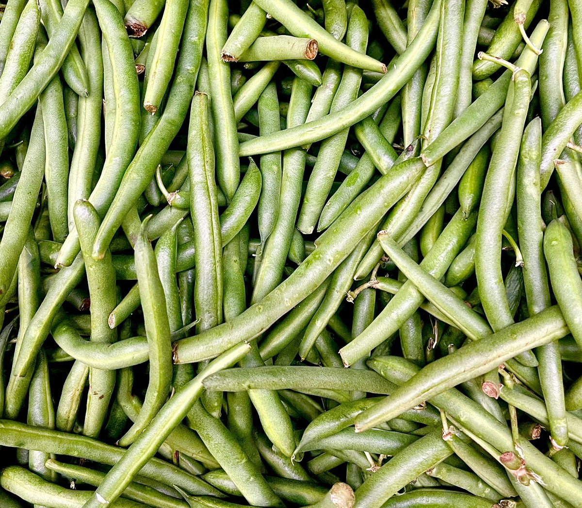 Green beans anyone? 💚💚💚
