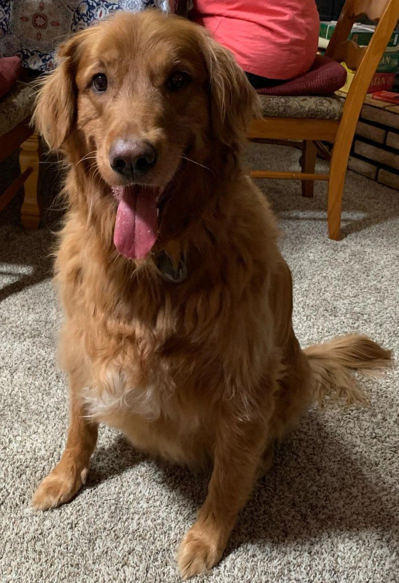 Ed Harmer tweet media