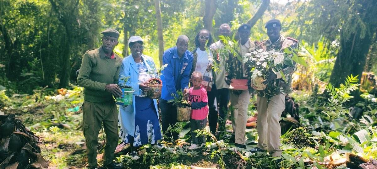 CleotildaJ's tweet image. Earlier today we planted 600 indigenous trees to enrich our indigenous catchment within Kibwari Estate to enhance our biodiversity.
#TreePlantingDay
#TreeGrowingDay