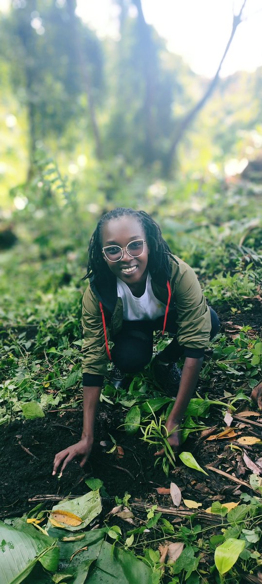 CleotildaJ's tweet image. Earlier today we planted 600 indigenous trees to enrich our indigenous catchment within Kibwari Estate to enhance our biodiversity.
#TreePlantingDay
#TreeGrowingDay