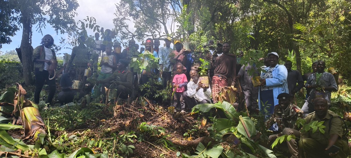 Earlier today we planted 600 indigenous trees to enrich our indigenous catchment within Kibwari Estate to enhance our biodiversity. #TreePlantingDay #TreeGrowingDay