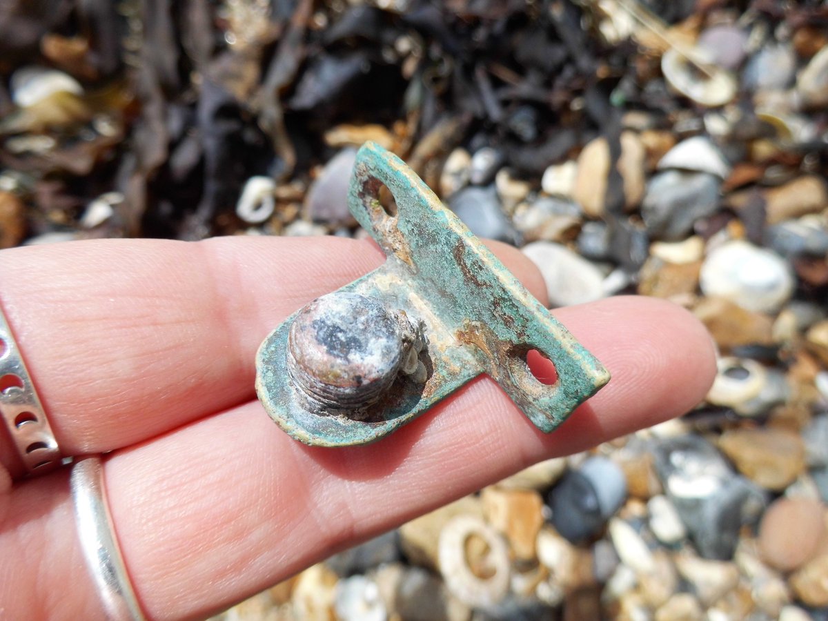 From the Archives: Sea Metal! #beachfinds #metal #litterpicking #curiosities #beachcombing #copper #verdigris