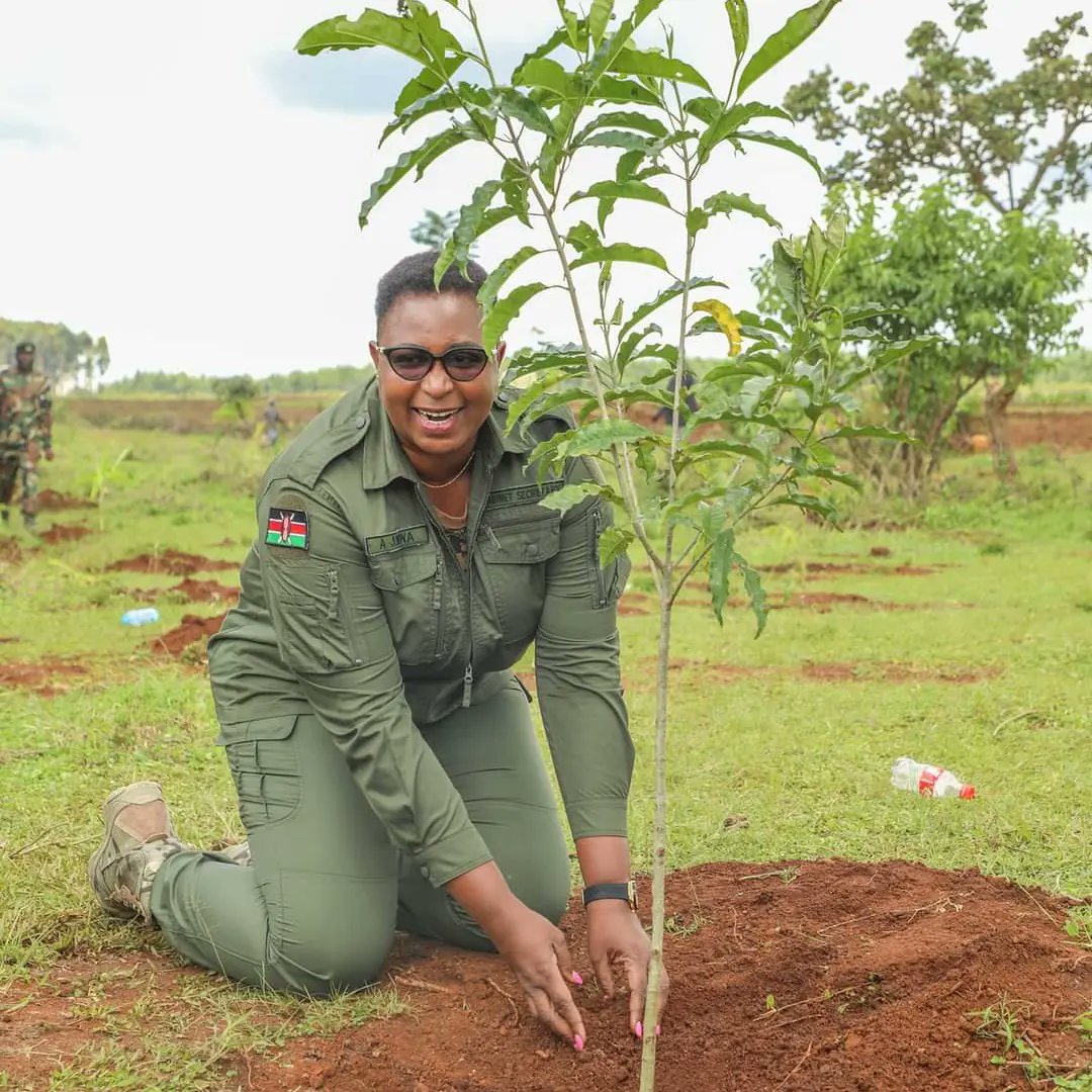 HonMukabane's tweet photo. Privileged to Join H.E Governor FCPA @BarasaFernandes OGW as he hosted CS Hon. @CSAishaJumwa In Kakamega, Nzoia Forest Station for the National tree planting initiative. 
Together with her Ministry, KFS, &amp; Our Environment Department, We planted over 34,000 seedlings.  #JazaMiti https://t.co/4WSac6x5Bh