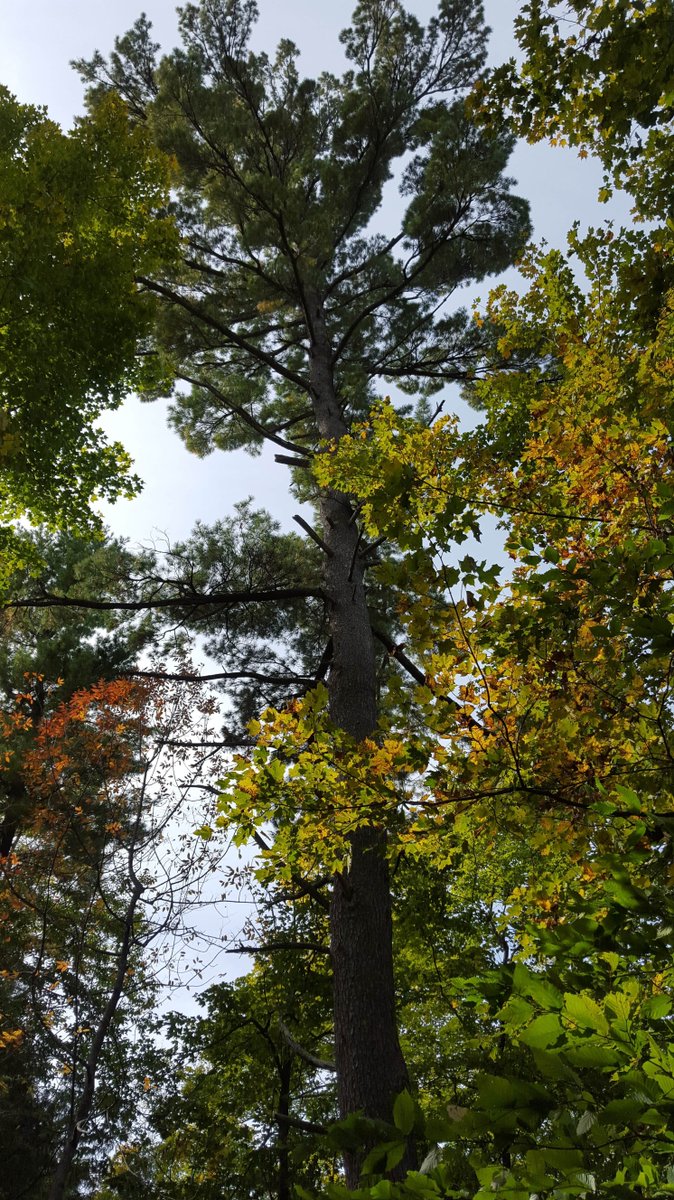 Serenity awaits at Braeburn Estates' breathtaking waterfront homes.