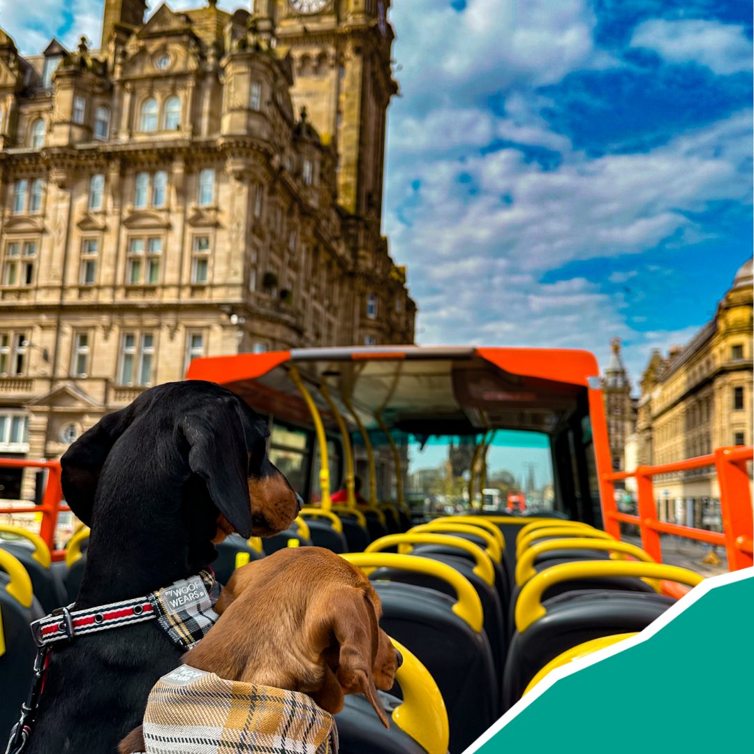 Spending the weekend in Edinburgh? 🏰 Our tours are a fun way to explore the capitals historic landmarks and charming neighbourhoods 🔍🚌 Discover Edinburgh the brightest way with our Two Tours, Two Days ticket 🧡 Book online 👉 brightbustours.com/tour-tickets/