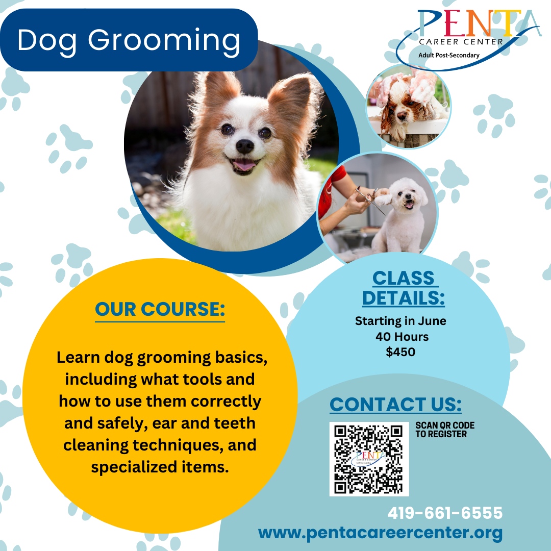 Join Penta's 40-hr dog grooming course this June! Learn essential tools and techniques for confident grooming. From ear cleaning to specialized skills, wag your tail with us! 🐶 Sign up: pentacareercenter.org/Programs.aspx 
#SuccessReady #PentaPride 🐾✨