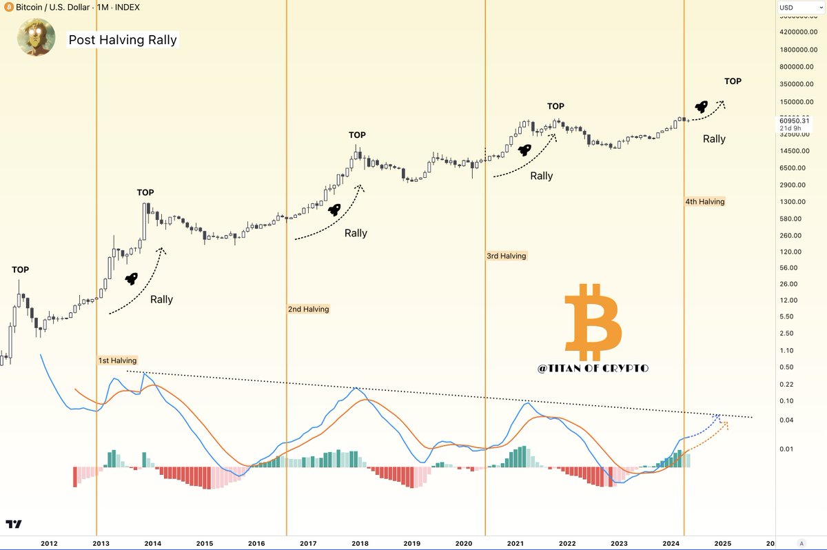 #Bitcoin Post Halving Rally is inevitable! ⤴️💥 To understand the present you have to search in the past. And what the past is telling us is there is no occurrence of #BTC not having a rally after the halving. Short term price action might be confusing, yet higher we go.🫡