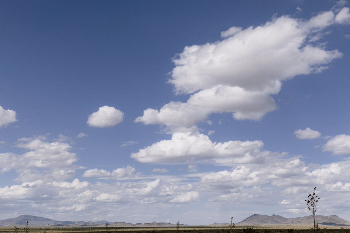 artblocks_io's tweet photo. 🖼️ Art Blocks Gallery Presents: Material Immaterial at the Marfa Invitational

Art Blocks Gallery is excited to showcase Material Immaterial at the Marfa Invitational. This exhibition delves into the intricate relationship between digital immateriality and the physical world. https://t.co/87i0s6BHJT