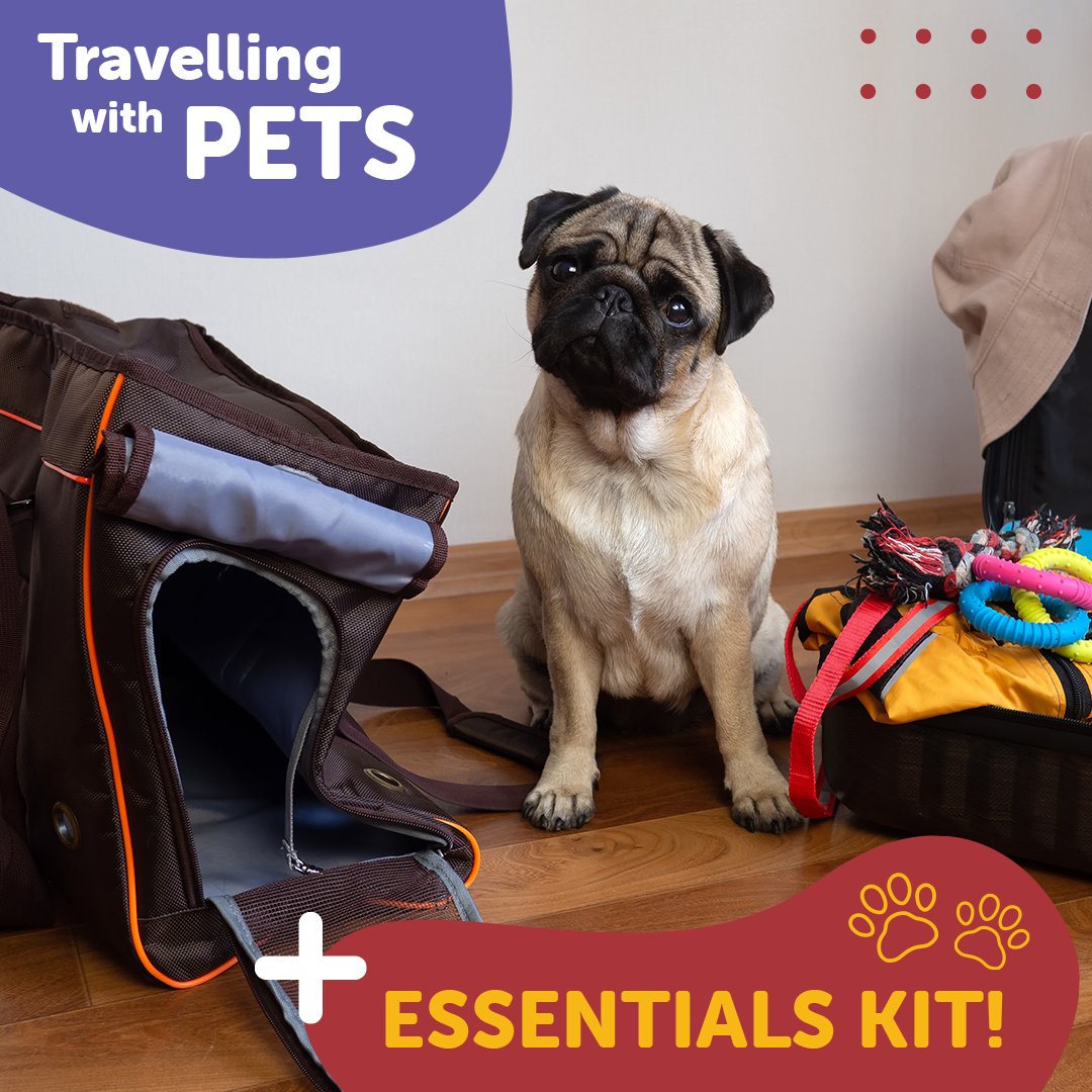 Be prepared for any situation with your fur baby! Pack essentials like bandages, gauze, gloves, scissors, wrap, tape, and a blanket/towel. Don't forget wipes, tweezers, ice packs, and a flashlight for pet travels. Keep your furry friends safe! 

#PetSafety #EssentialsKit. 🐶🐱🚗
