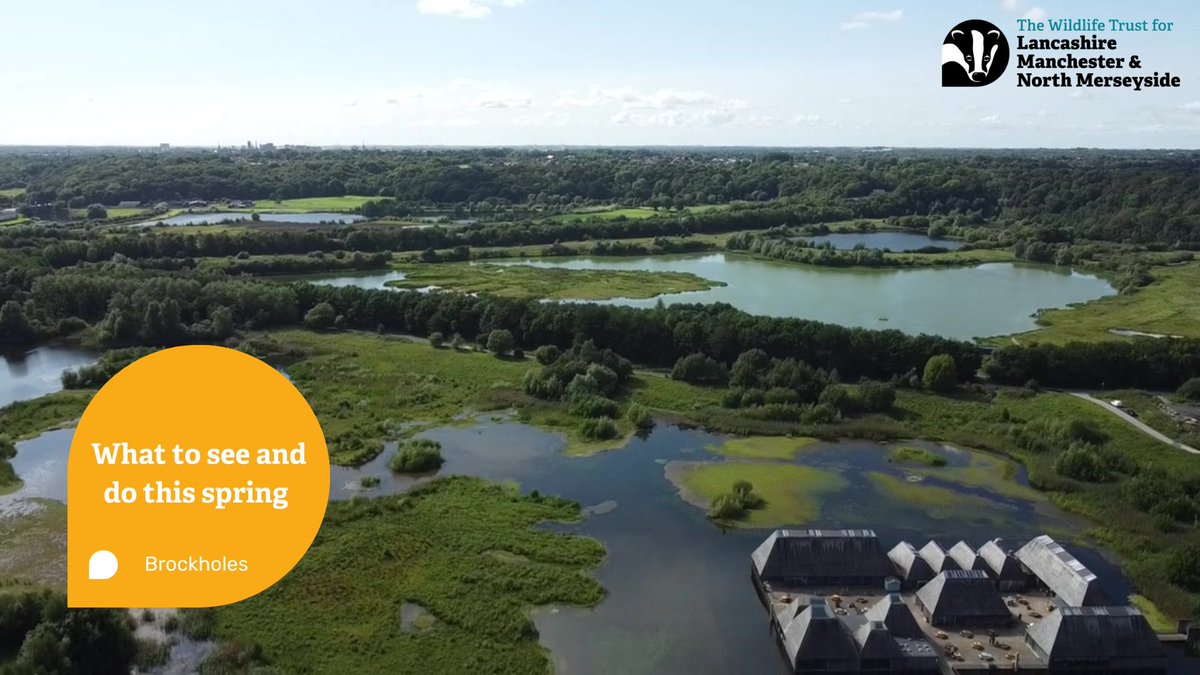 Curious about what Brockholes has to offer this spring season? 🌼 Let our Reserve Officer Lorna guide you through the incredible sights, habitats and wildlife on offer in our latest video ⬇️ Watch the full video here 👉 bit.ly/4bbCWGT