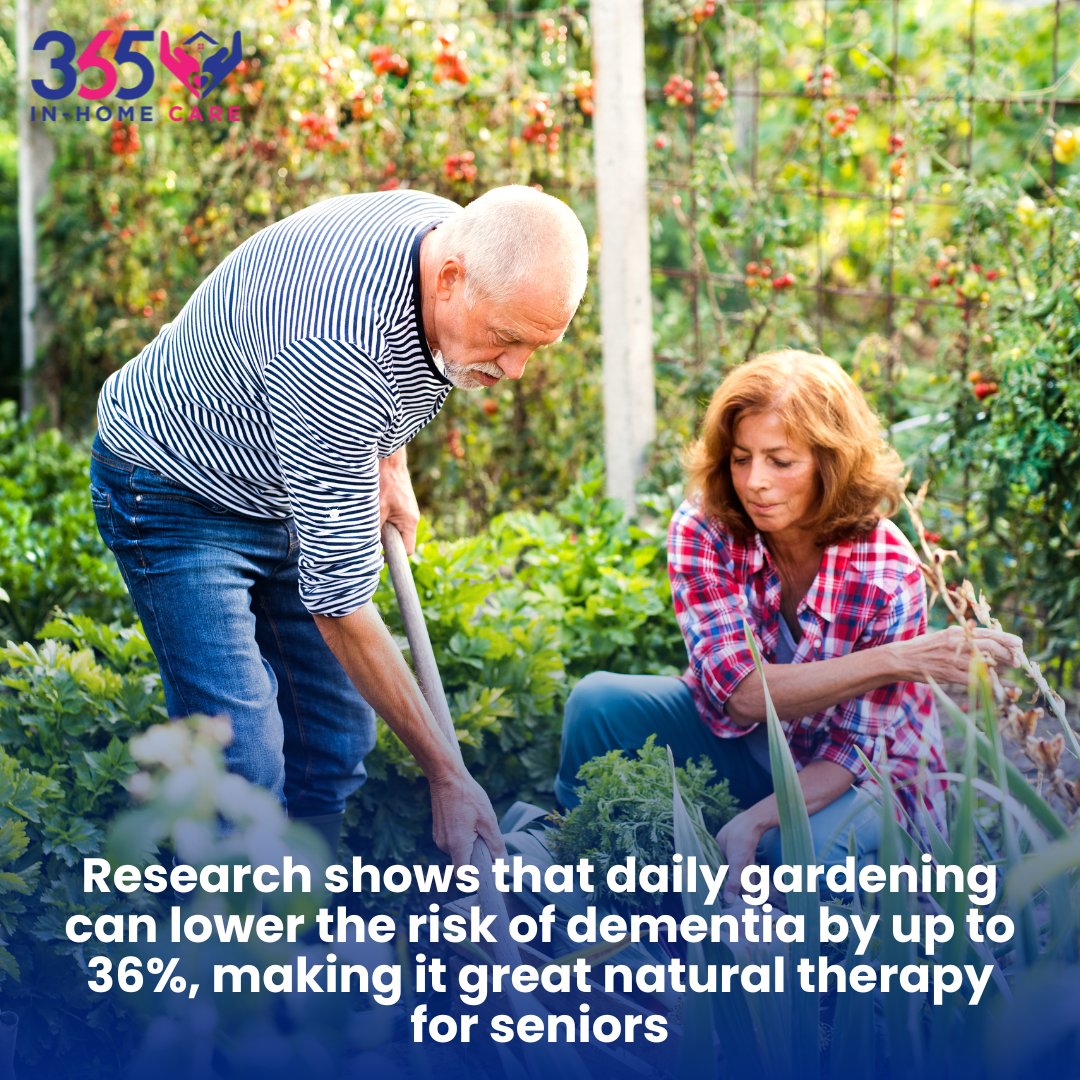 Did you know? Daily gardening isn't just a hobby—it's a natural therapy that can lower the risk of dementia by up to 36%! 🌱 

Take advantage of the therapeutic benefits of gardening and cultivate a healthier mind and body. 
.
.
.
#365InHomeCare #inhomecare #seniorcare