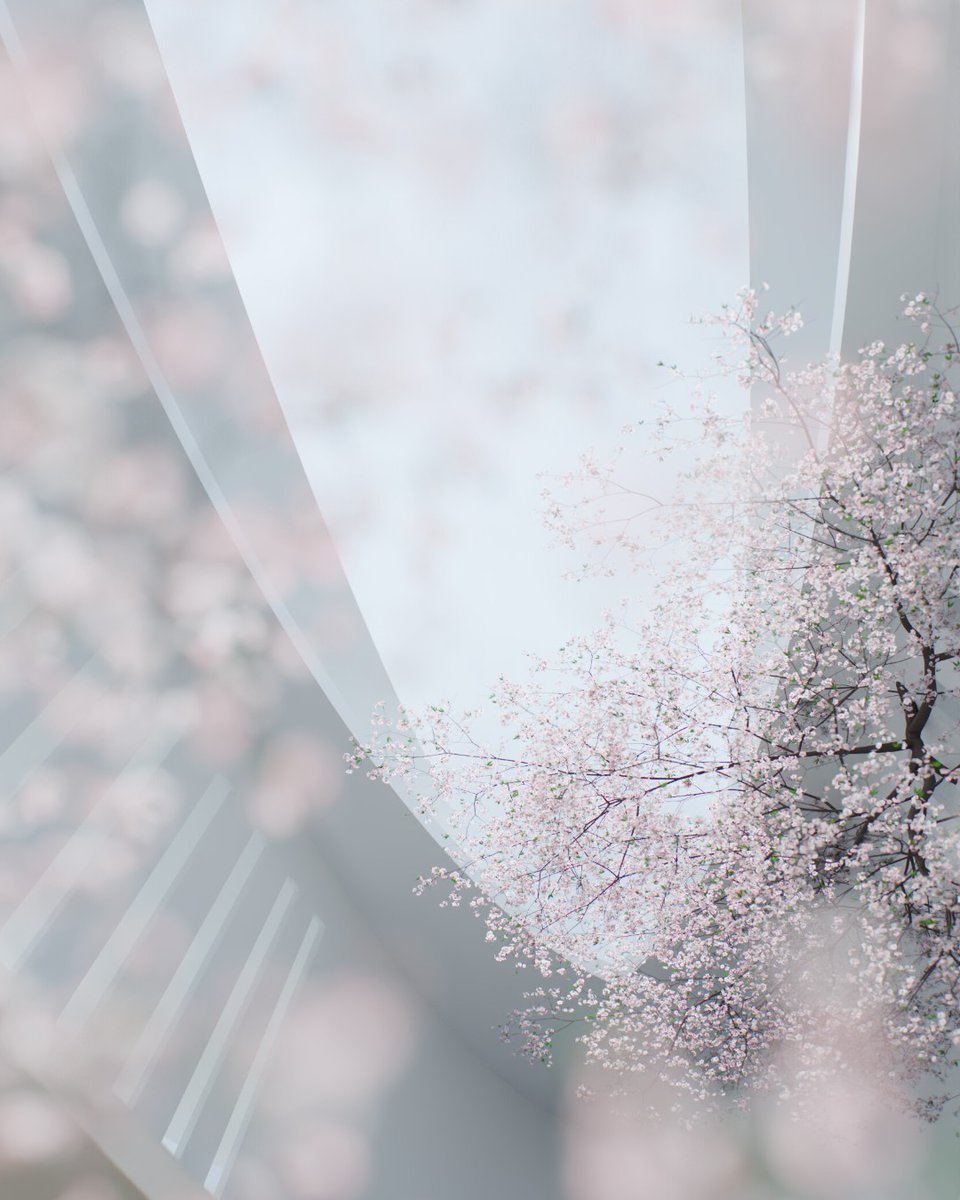 Something different for Friday—3D Aritst Irakli Shubashikeli was inspired by nature when creating his new short film, 'Harmony's Haven'. 🎻🌸 After browsing these beautiful screenshots, head over to his YouTube channel to see the full film 👉 bit.ly/3wzKnsj