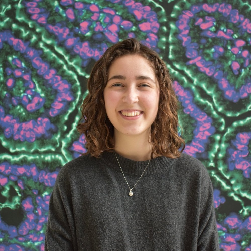 Michigan Otolaryngology (@umichoto) on Twitter photo Congratulations to Audrey Drotos (<a href="/audreydrotos/">Dr. Audrey Drotos 🧠 🔬</a>), graduate student in the <a href="/RobertsNeuro/">Michael Roberts</a> Lab at our Kresge Hearing Research Institute, on being one of two recipients of the prestigious Neuroscience Innovator Award from the Michigan Neuroscience Graduate Program! 🎉 Congratulations to Audrey Drotos (<a href="/audreydrotos/">Dr. Audrey Drotos 🧠 🔬</a>), graduate student in the <a href="/RobertsNeuro/">Michael Roberts</a> Lab at our Kresge Hearing Research Institute, on being one of two recipients of the prestigious Neuroscience Innovator Award from the Michigan Neuroscience Graduate Program! 🎉