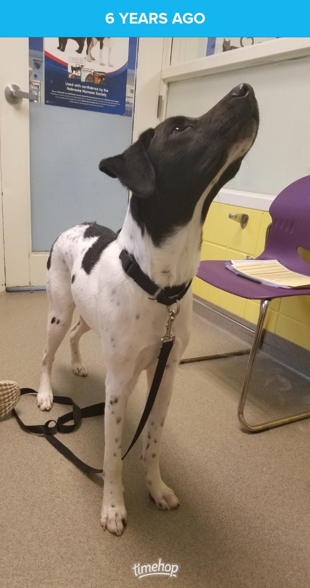 Minda Haas Kuhlmann tweet media