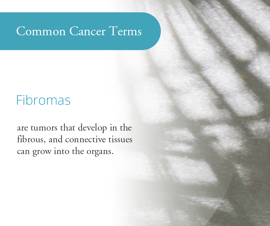 The female reproductive system is susceptible to fibromas, benign tumors from the uterus's myometrium, also known as leiomyomas or myomas. These tumors mainly affect women aged 30 to 40 years.