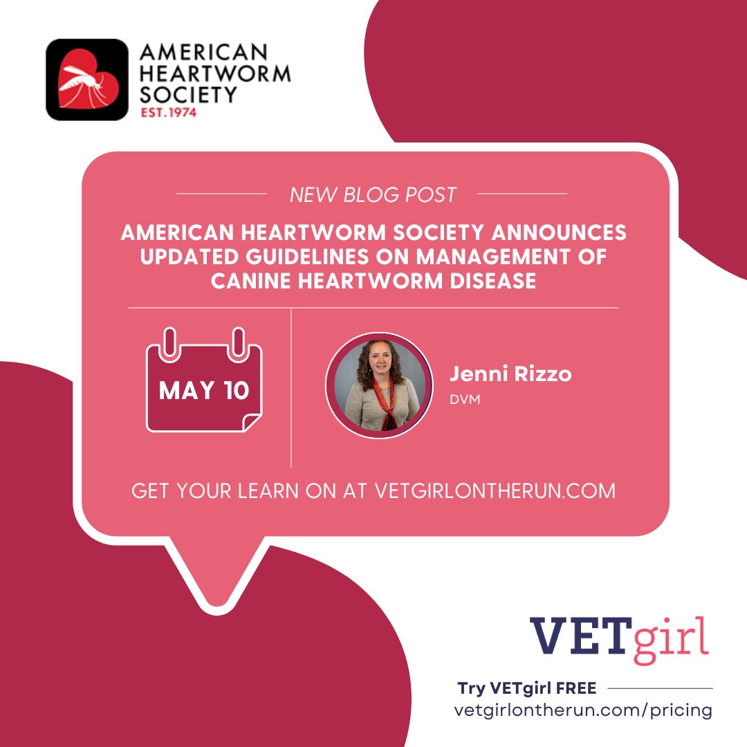 🗒️🚨 BLOG POST ALERT 👤 Jenni Rizzo, DVM @AHS_Think12 Announces Updated Guidelines on Management of Canine Heartworm Disease by Jenni Rizzo, DVM Read NOW ➡️ vetgirlontherun.com/ahs-announces-… #veterinary #vetgirl #vetmed #vetstudent #VeterinaryMedicine