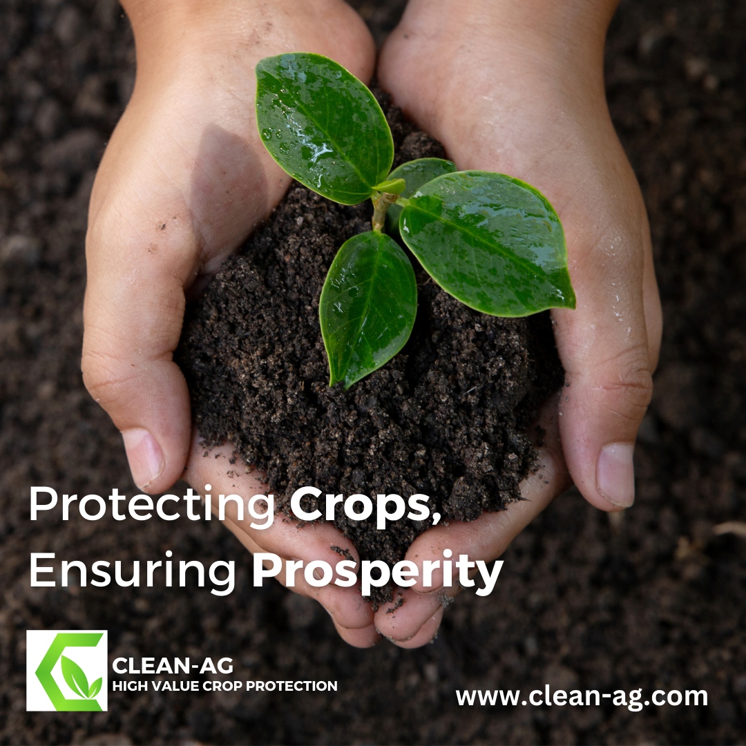 cleanaginc's tweet photo. 🚜🛡  Choose Clean-Ag for effective and sustainable crop care solutions. 

Say GOODBYE to crop worries and hello to BOUNTIFUL YIELDS with Clean-Ag's premium pesticide products. 

🌐 https://t.co/TpMoyaMXTY https://t.co/r3WBxL4902