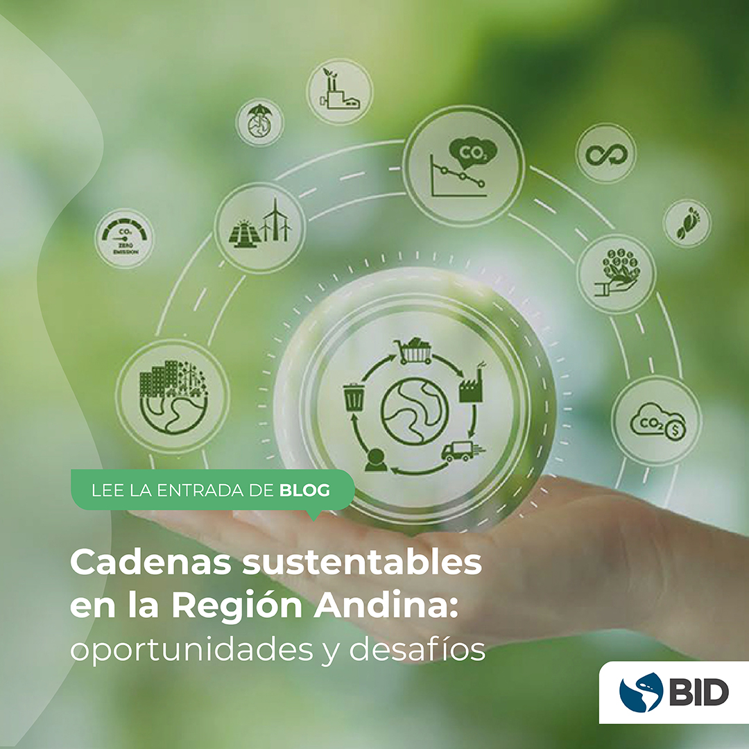 Los países andinos 🇨🇴 🇵🇪 🇪🇨 podrían generar #Sostenibilidad y #DesarrolloProductivo a través de una mayor participación en las cadenas globales de valor de los sectores de pesca🎣, textil y confecciones👚, plásticos y caucho🛞, y automotor🚗. Descubre más: bit.ly/3wr61Pv