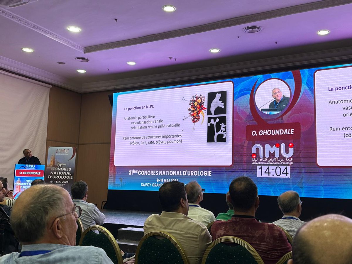 AMUrologie's tweet photo. La ponction en #NLPC : Clé du succès !
O. #GHOUNDALE, #Marrakech📷
#AMU24 #Congrès #National #Urologie #Marrakech https://t.co/TbDAZy8miX