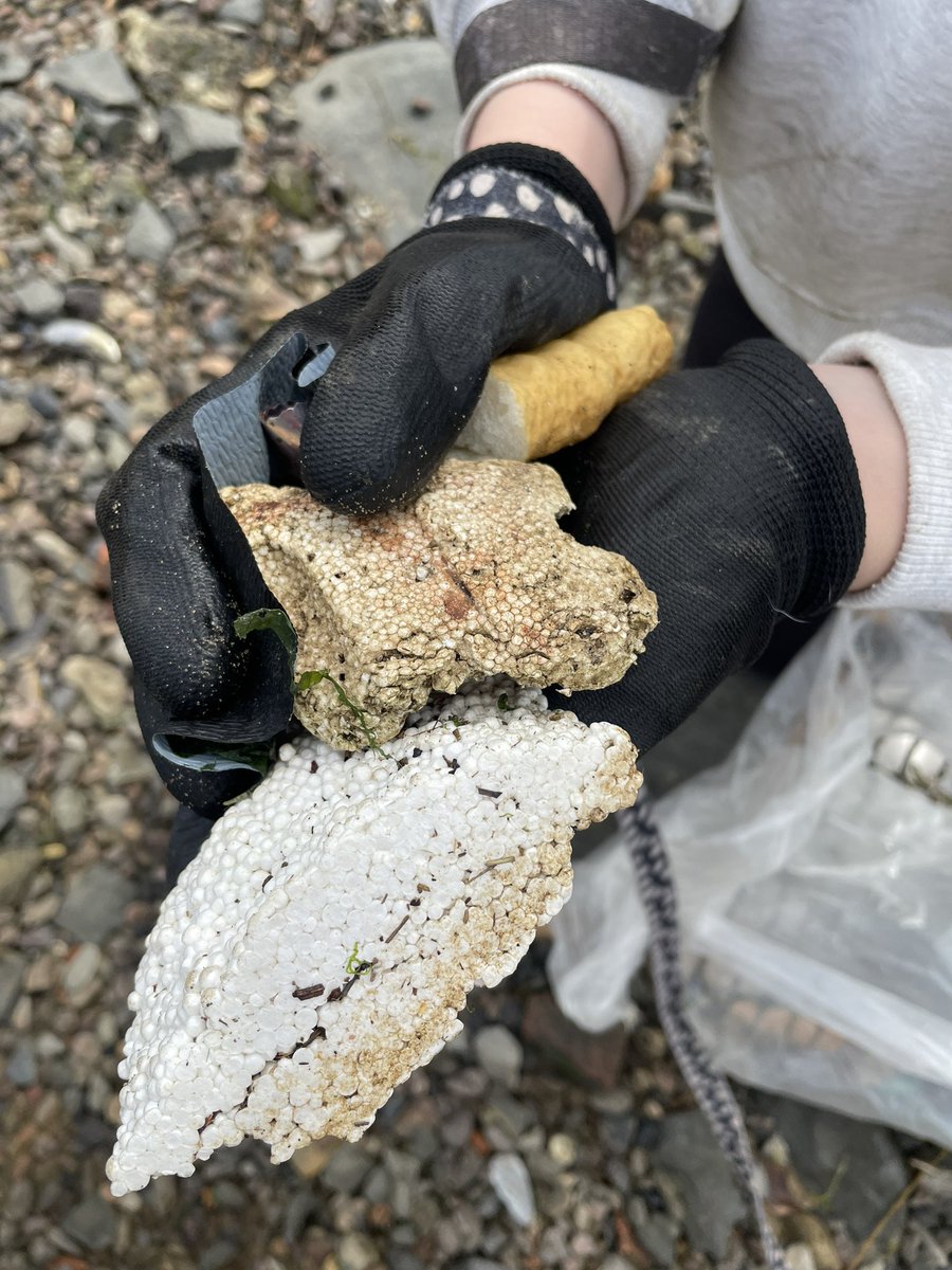 Another day at the office 😃 #plasticpollution I will Save all my friends 🐦 🦢 🦅 🦭 🐬 🐢 🐳 🦦 🐶 #Northumberlandcoast #kindness