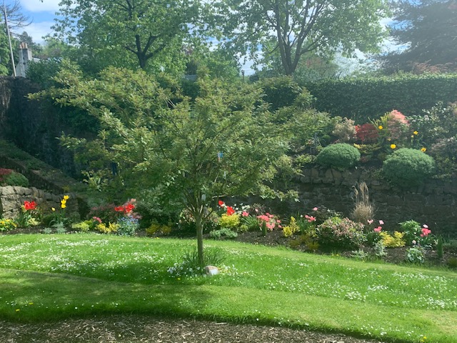 May is a wonderful time to visit @TCFcharityUK Memorial Garden in Perth, Scotland. Some parents and volunteers recently spent some time there and sent these beautiful photos from the Garden. Find out more at the link tcf.org.uk/tcf-memorials/