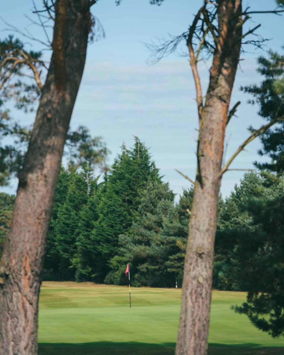 The #SpiritOfGolf is alive at @ElginGolfClub ⛳ #MoraySpeysideGolf

If not why not treat yourself to the new #MoraySpeysideGolfPass and play some of our regions gems at a reduced rate.

morayspeysidegolf.com

📌 - Elgin, Moray Speyside
📷 - <a href="/GolfMoray/">Moray Speyside Golf 🏴󠁧󠁢󠁳󠁣󠁴󠁿</a>