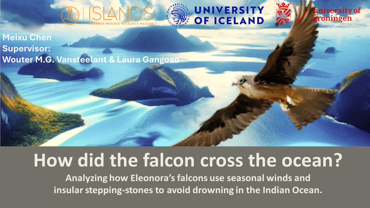 ISLANDS MSc 🦋 islandsmaster.bsky.social tweet media