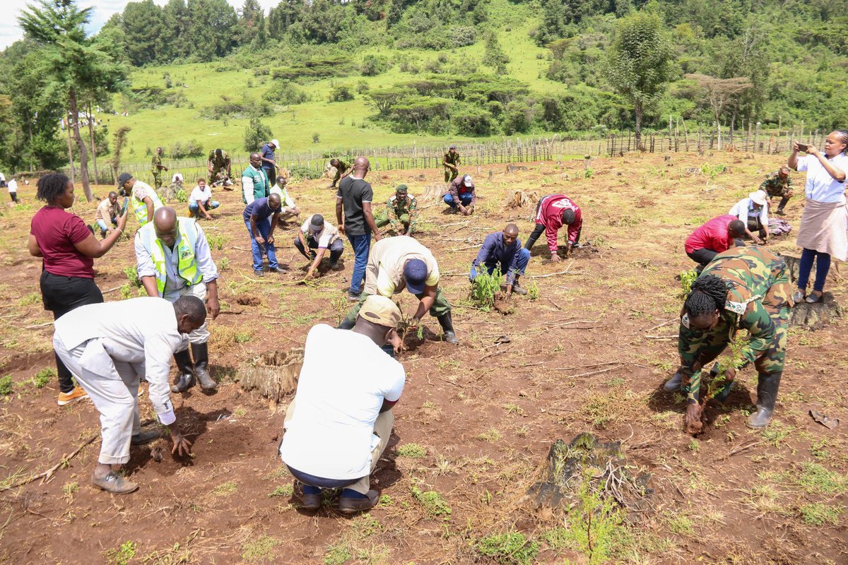 1/3 The PS, Ministry of Energy & Petroleum, State Department of Energy, Mr Alex Wachira, Chairman, Kenya Power, Joy Brenda Masinde, and the MD & CEO, Dr. (Eng) Joseph Siror, participated in the #TreePlantingDay at Narasha Forest, Baringo County.