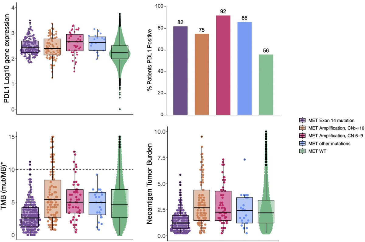 Explore a recent article that describes the differences between TMB, neoantigen load, PD-L1, CD4, and NK cell proportions according to MET mutation or amplification status.

bit.ly/44C61J4