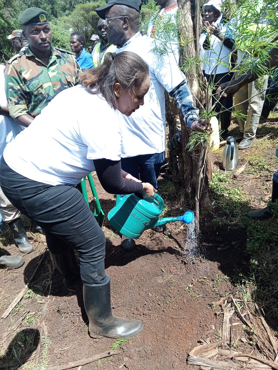 3/ To support the National Tree Growing campaign, we intend to plant a total of 831,000 trees nationwide by October 31st, 2024. Have you joined the #JazaMiti movement? #Towards15BillionTrees ^OS